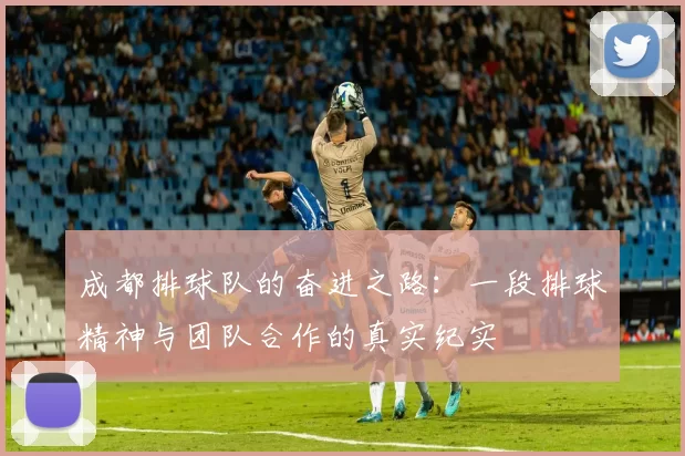 成都排球队的奋进之路：一段排球精神与团队合作的真实纪实