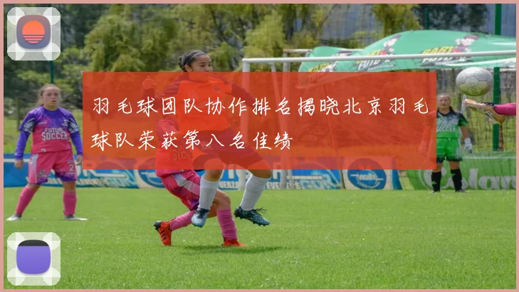羽毛球团队协作排名揭晓北京羽毛球队荣获第八名佳绩