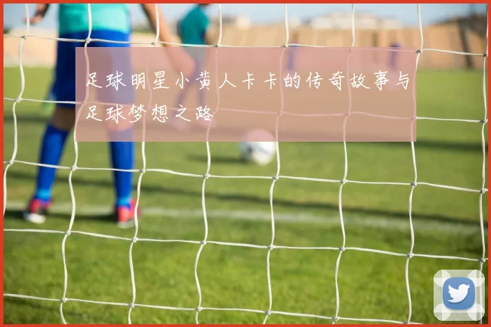 足球明星小黄人卡卡的传奇故事与足球梦想之路