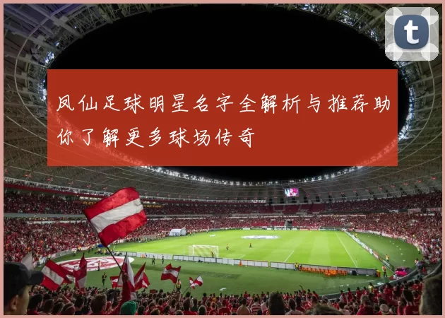 凤仙足球明星名字全解析与推荐助你了解更多球场传奇