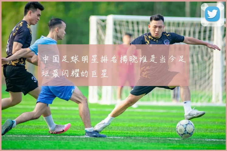 中国足球明星排名揭晓谁是当今足坛最闪耀的巨星
