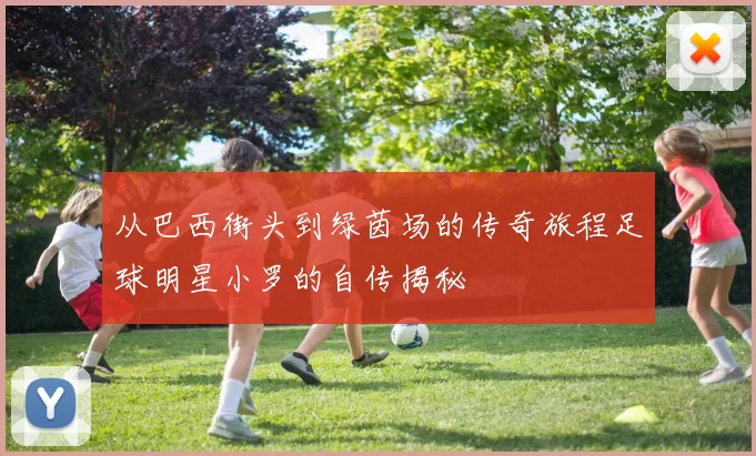 从巴西街头到绿茵场的传奇旅程足球明星小罗的自传揭秘