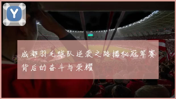 成都羽毛球队逆袭之路揭秘冠军赛背后的奋斗与荣耀
