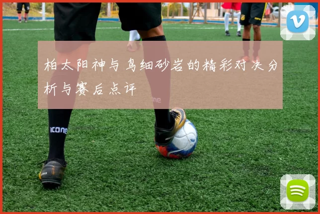 柏太阳神与鸟细砂岩的精彩对决分析与赛后点评