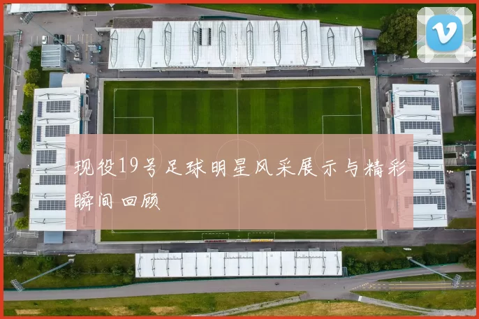 现役19号足球明星风采展示与精彩瞬间回顾