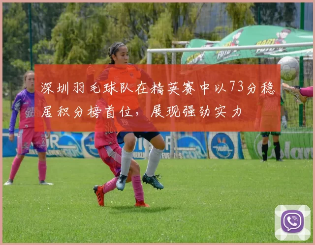 深圳羽毛球队在精英赛中以73分稳居积分榜首位，展现强劲实力