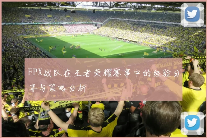 FPX战队在王者荣耀赛事中的经验分享与策略分析