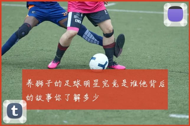 养狮子的足球明星究竟是谁他背后的故事你了解多少