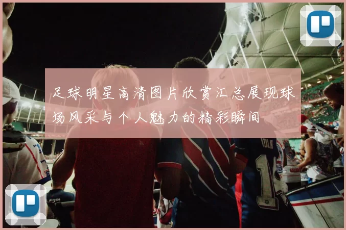 足球明星高清图片欣赏汇总展现球场风采与个人魅力的精彩瞬间