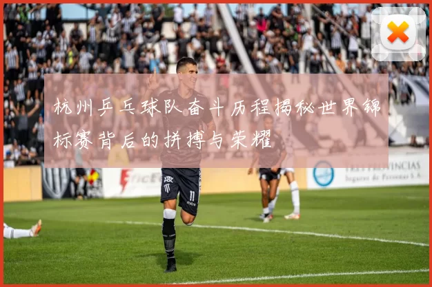 杭州乒乓球队奋斗历程揭秘世界锦标赛背后的拼搏与荣耀
