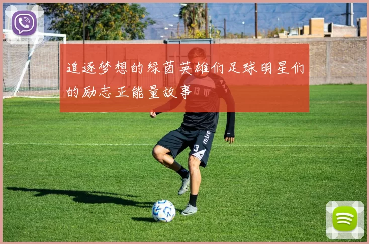 追逐梦想的绿茵英雄们足球明星们的励志正能量故事
