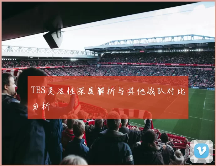 TES灵活性深度解析与其他战队对比分析