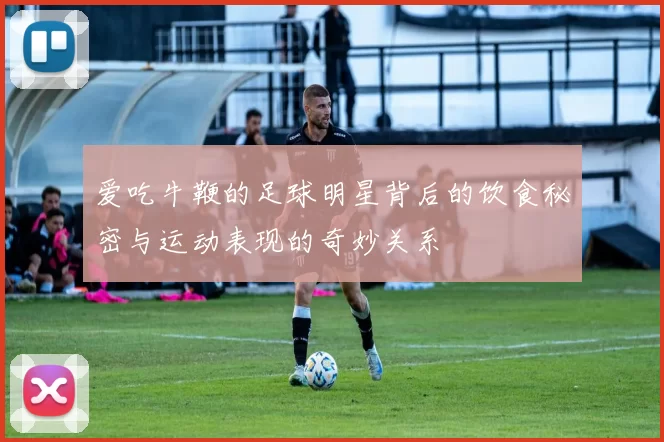 爱吃牛鞭的足球明星背后的饮食秘密与运动表现的奇妙关系