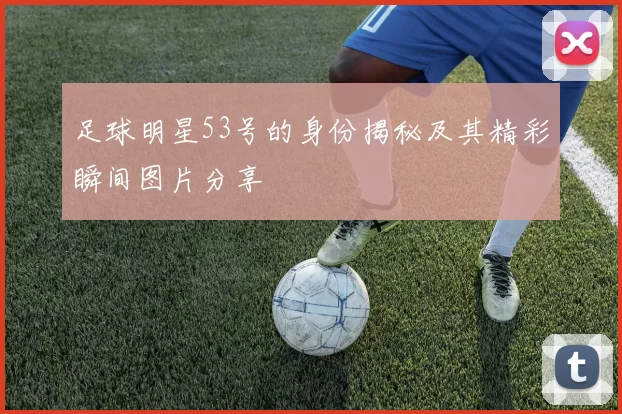 足球明星53号的身份揭秘及其精彩瞬间图片分享