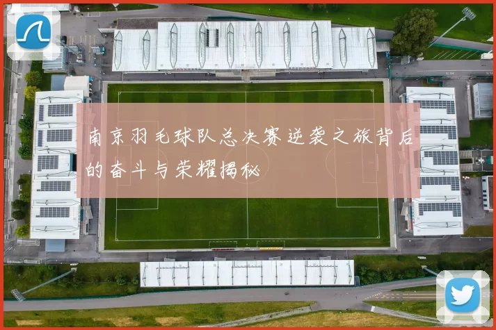 南京羽毛球队总决赛逆袭之旅背后的奋斗与荣耀揭秘