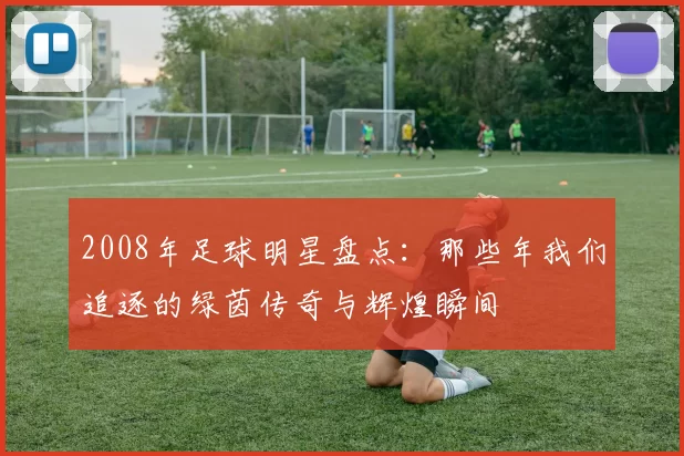 2008年足球明星盘点：那些年我们追逐的绿茵传奇与辉煌瞬间
