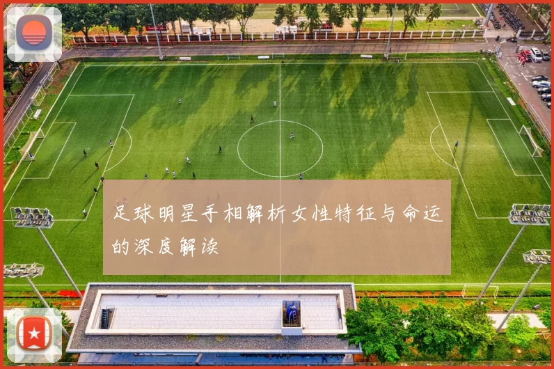 足球明星手相解析女性特征与命运的深度解读