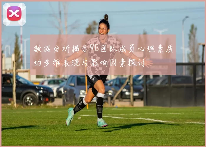 数据分析揭示WE团队成员心理素质的多维表现与影响因素探讨